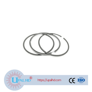 Piston ring kit 115107970