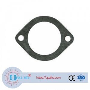 Plane gasket 420641